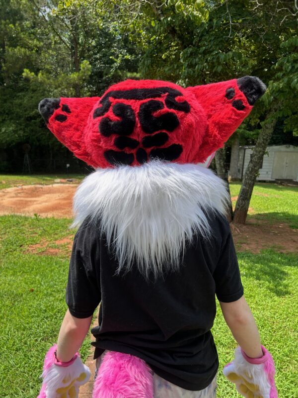 Premade Fursuit - Image 5